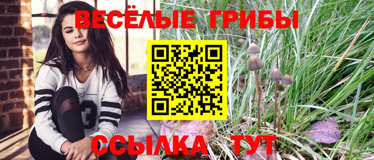 Галлюциногенные грибы GOLDEN TEACHER  Вход с VPN  Керчь 